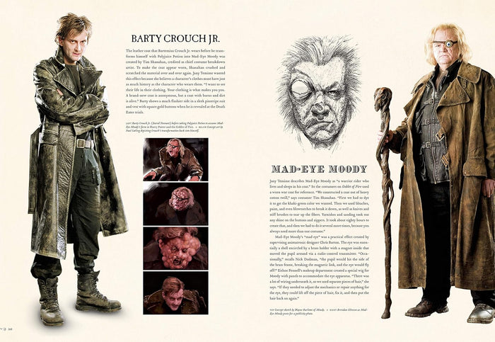 Harry Potter: Page to Screen