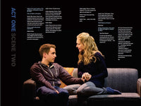 Dear Evan Hansen: Through the Window
