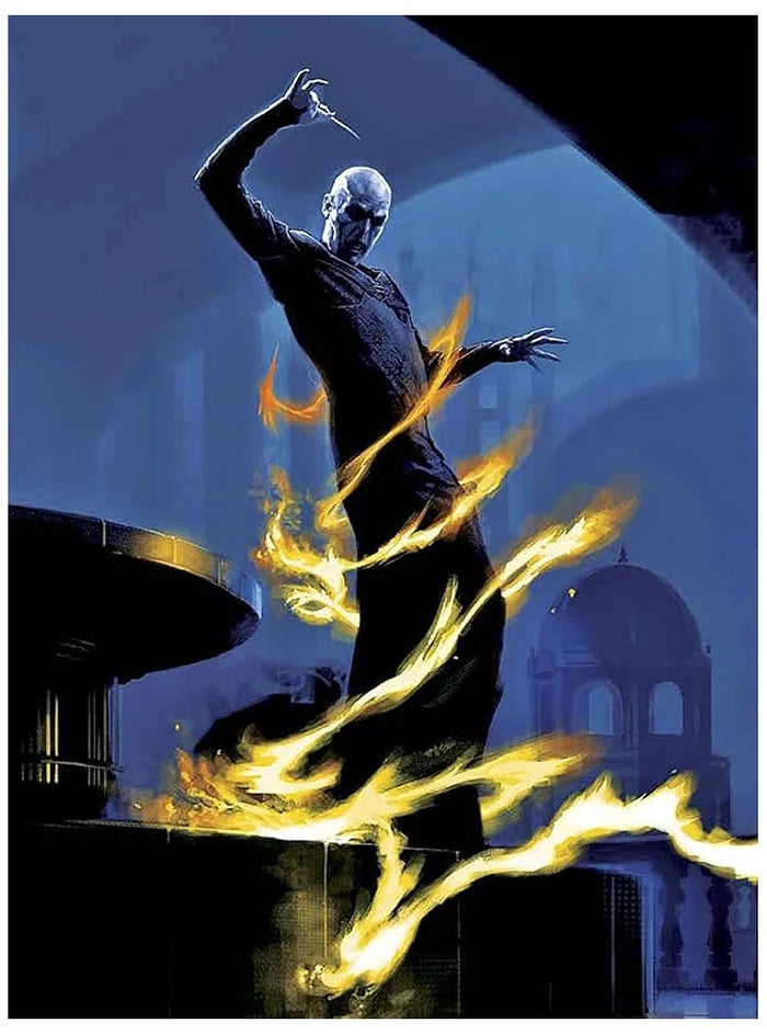 The Art of Harry Potter