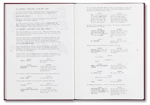 Everything Everywhere All At Once (Screenplay Book)