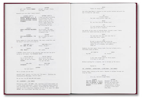 Everything Everywhere All At Once (Screenplay Book)